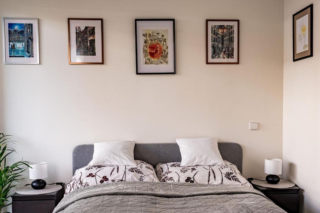 Nove Sady Olomouc Apartment Екстериор снимка